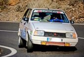 Citroen visa 1.4